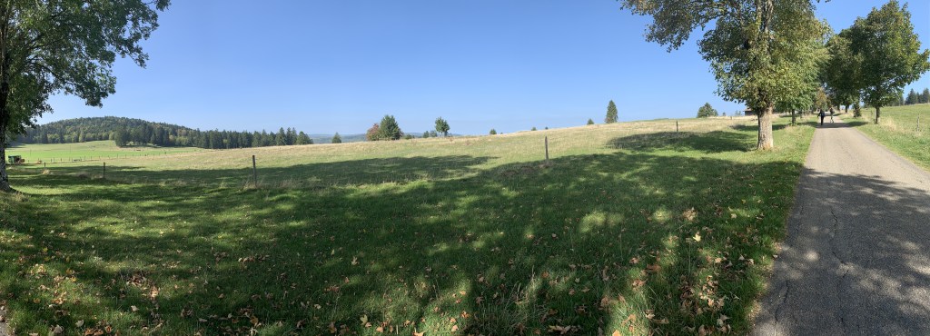 Tree avenues, magical forests and infinite views on the High Plateau of the Franches Montagnes