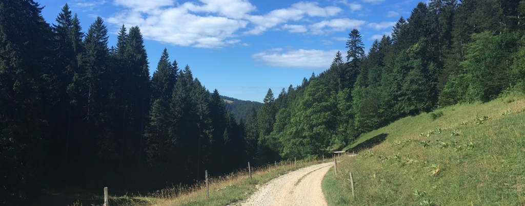 A view of the&nbsp;Alps