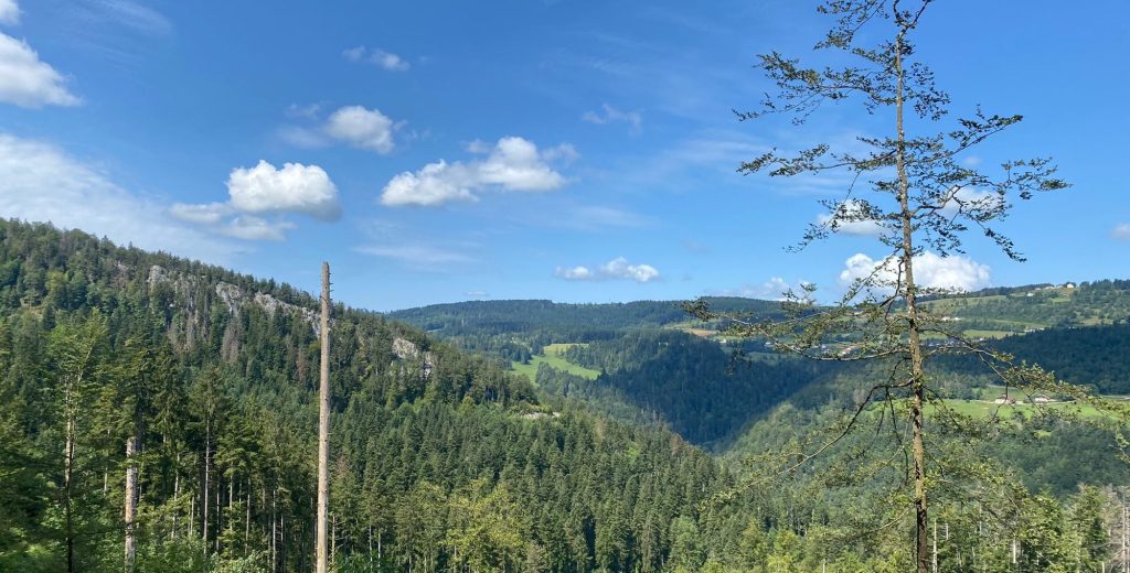 A refreshing stroll trough the&nbsp;valley