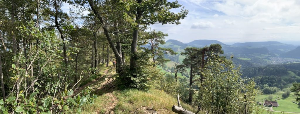 Rolling hills and the beginning of&nbsp;autumn