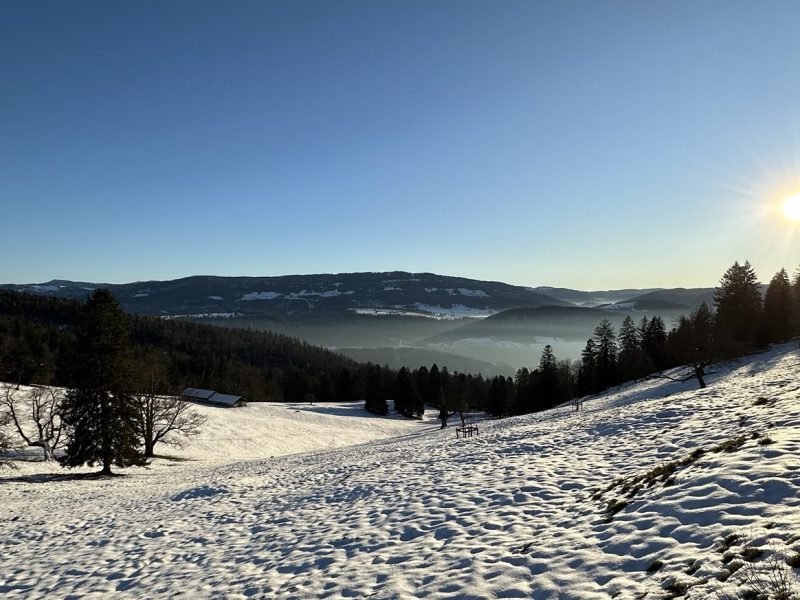 The portal through the&nbsp;wardrobe